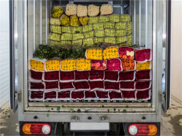 <h3>truck refrigeration--Kingclima Van frigo Units</h3>
